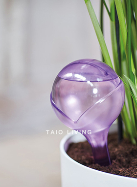 【迎春特惠】荷兰进口elho自动浇花神器懒人出差免定时渗水器