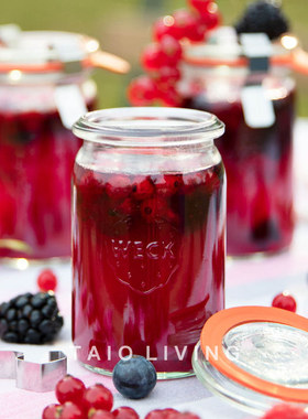 德国制造WECK 圆柱系列玻璃罐腌制食物密封罐储存罐含密封圈和夹
