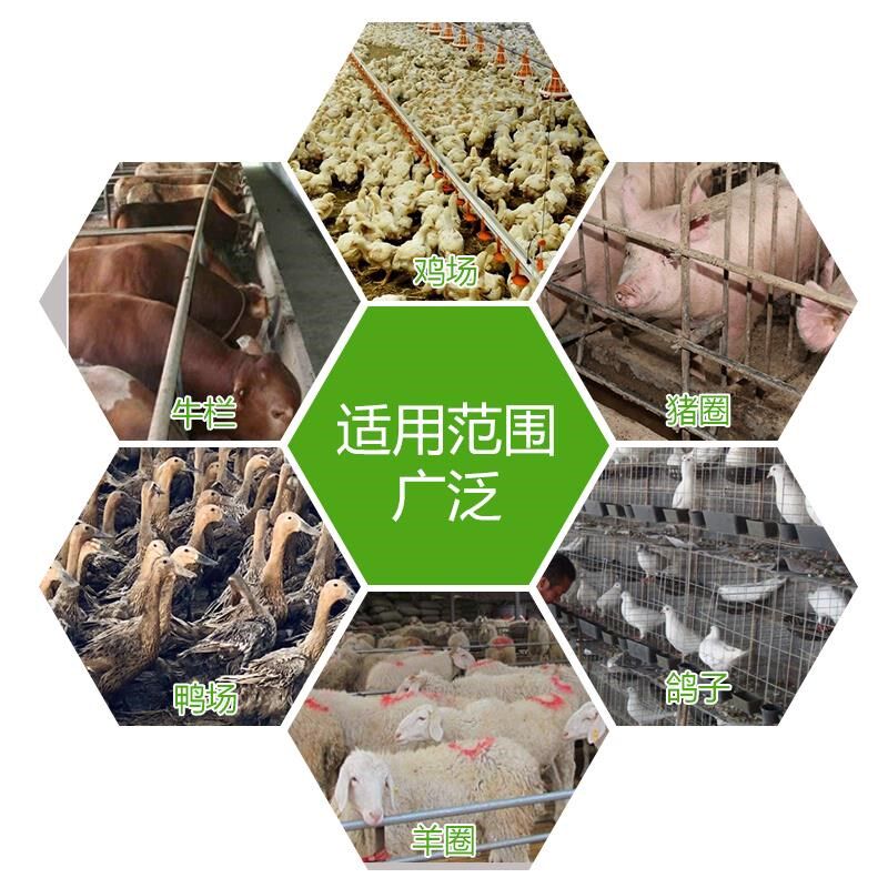 黑色艾叶畜牧兽用蚊香猪场养殖场专用驱蚊灭蚊棒香艾草型长香61M|msdalam kategori haiwan peliharaan/makanan haiwan dan bekalan, hamsters kelas haiwan peliharaan dan lain-lain kecil, babi - dari Buy2taobao.com untuk memberikan perkhidmatan ejen Taobao profesional membeli