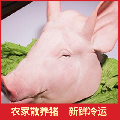 新鲜猪头整猪头带骨带耳朵带口条