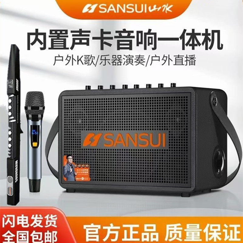 山水 便携式蓝牙音响电吹管乐器专用家用户外K唱歌声卡内录大音量