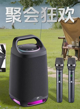 惠威ML35无线蓝牙音响户外露营便携式音箱家用K歌大音量重低音炮