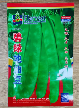 碧绿地油豆种子春秋播早熟矮生