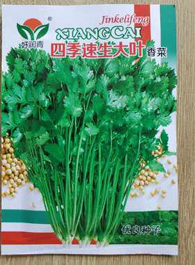 四季大叶香菜种子包装按批次不同