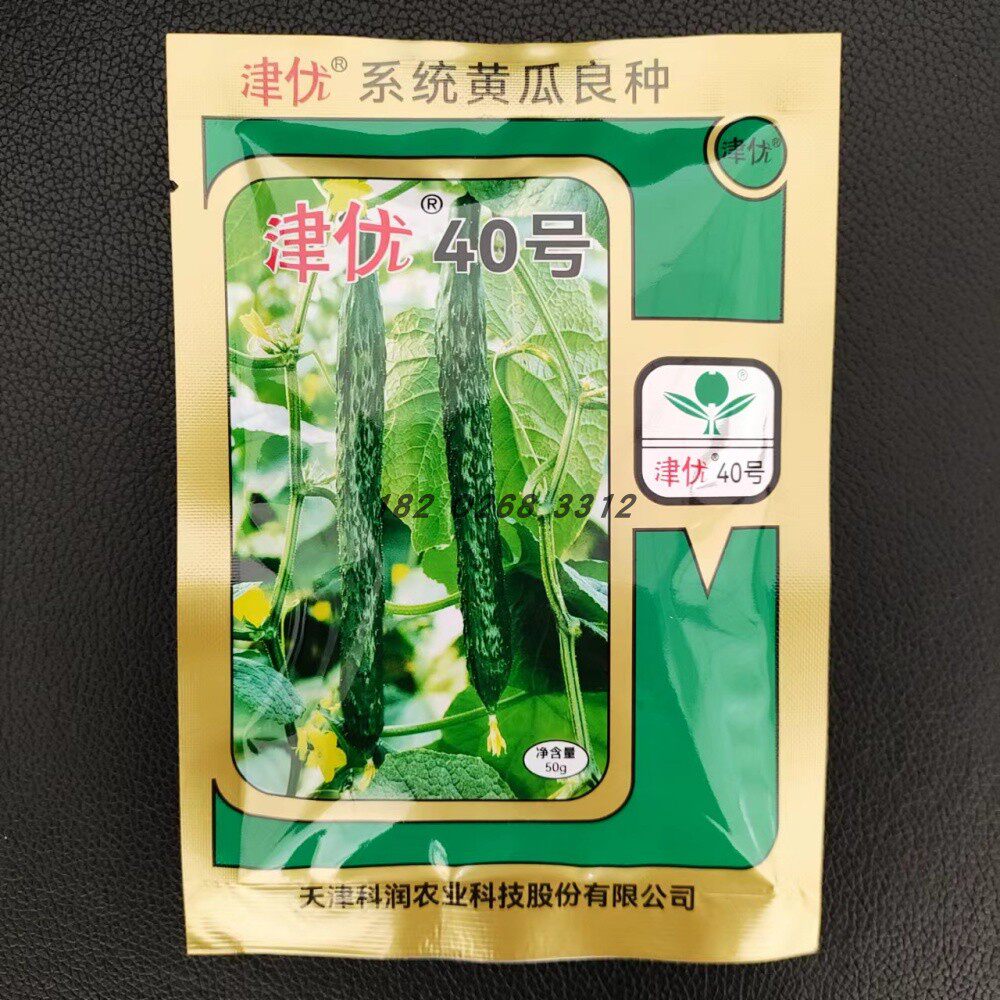 津优40号 黄瓜种子绿肉天津农科院科润蔬菜研究所蔬菜种子菜种籽