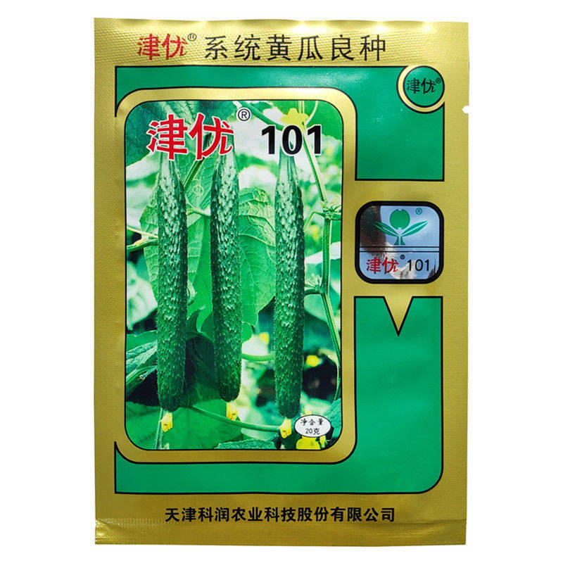 津优101 黄瓜种子20克春夏秋露地四季夏季耐热蔬菜种子天津科润