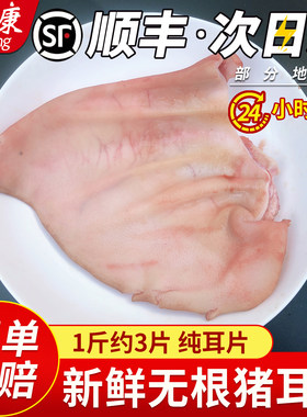 【顺丰包邮】无根猪耳片