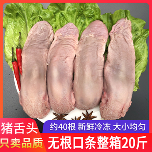 无根猪口条新鲜冷冻猪舌头净重20斤干净无根口条商用卤菜饭店
