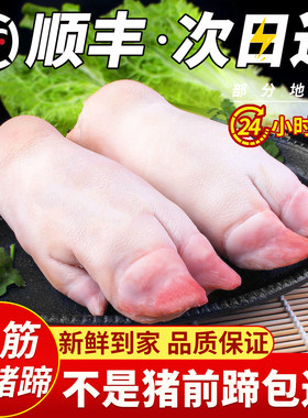 只发带筋前蹄！切割方式任你选！