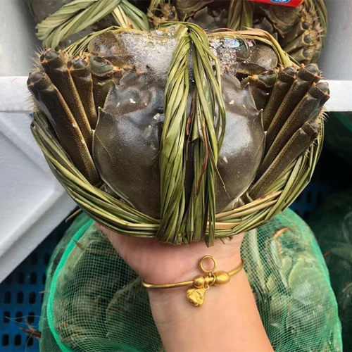 重庆正宗满黄红膏大闸蟹礼盒装