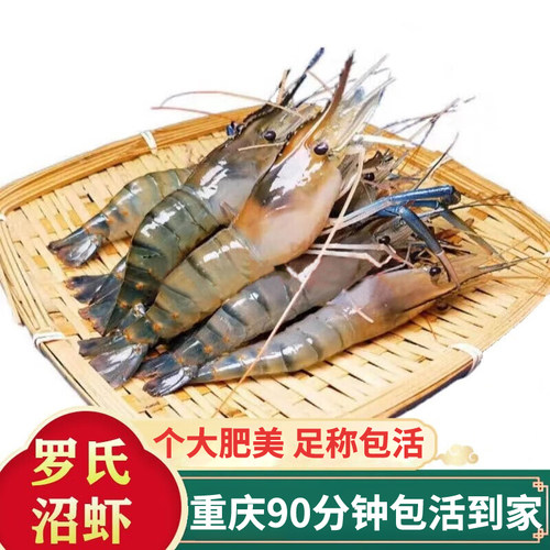500g活体海鲜重庆闪送罗氏虾