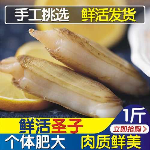 蛏子鲜活新鲜无沙野生大竹蛏贝壳类海鲜水产500g重庆四川海鲜圣子 - 封面