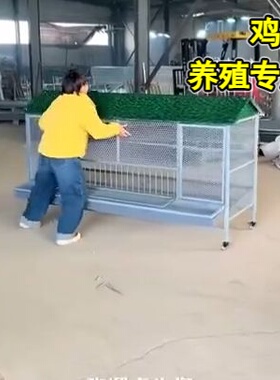 鸡笼子家用型用大号特大家禽养殖笼鸡鸭鹅笼加厚自动滚蛋蛋托防护