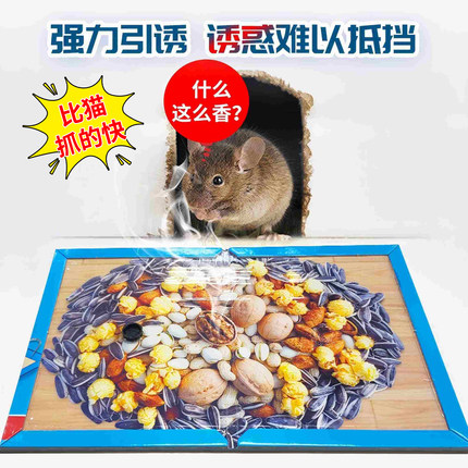 20张双引诱糖炒板栗味老鼠粘有效粘鼠板胶粘大老鼠贴家用坚果图案