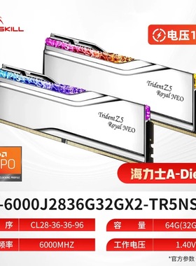 高端电竞酒店拆机芝奇ddr5 焰锋戟灯条6000 C28 AMD EXPO16G套装