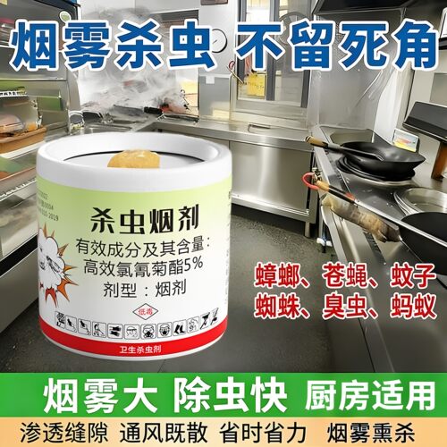 家用烟熏强效杀蟑螂蜘蛛