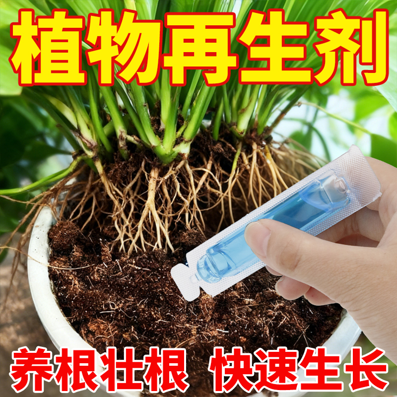 植物再生剂复活液花卉绿植盆栽