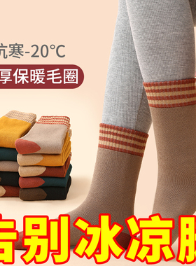 厚袜子女中筒袜秋冬款加绒加厚毛圈保暖袜ins百搭冬季居家毛巾袜