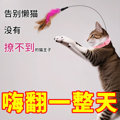 猫玩具头戴项圈逗猫棒自嗨套脖