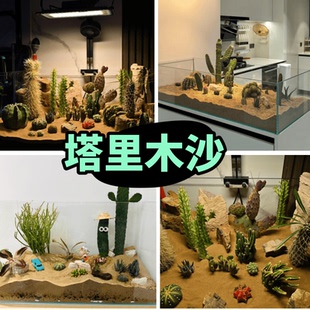 天然塔里木黄金沙鱼缸底砂三湖南美缸鼠鱼造景河沙黄色细沙水晶沙