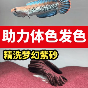 免洗雷龙造景沙青灰砂雨林梦幻紫砂化妆沙子铺底装饰鱼缸底部砂石