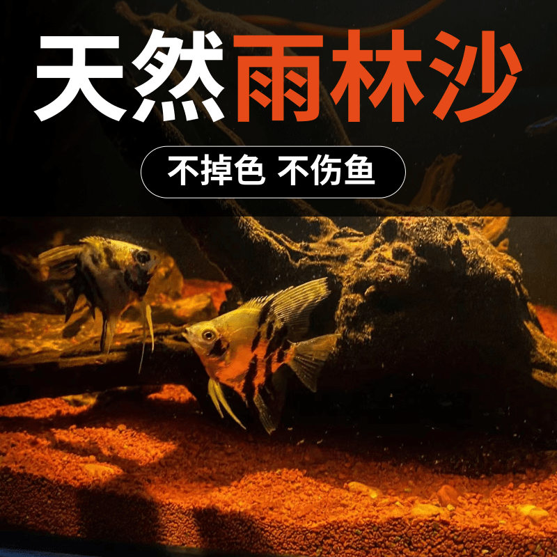 热带精品雨林沙鱼缸底沙太行南美三湖慈鲷鼠沙埃及七彩雷龙造景沙