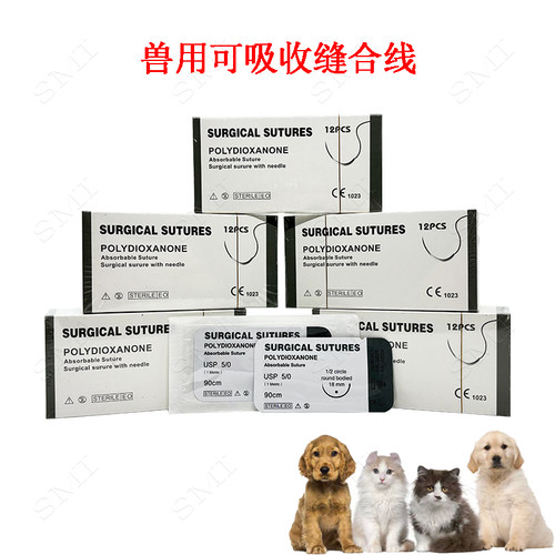 宠物可吸收手术缝合线带针
