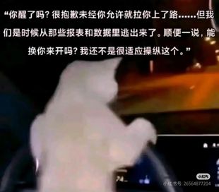 【说明】海狸栖息地