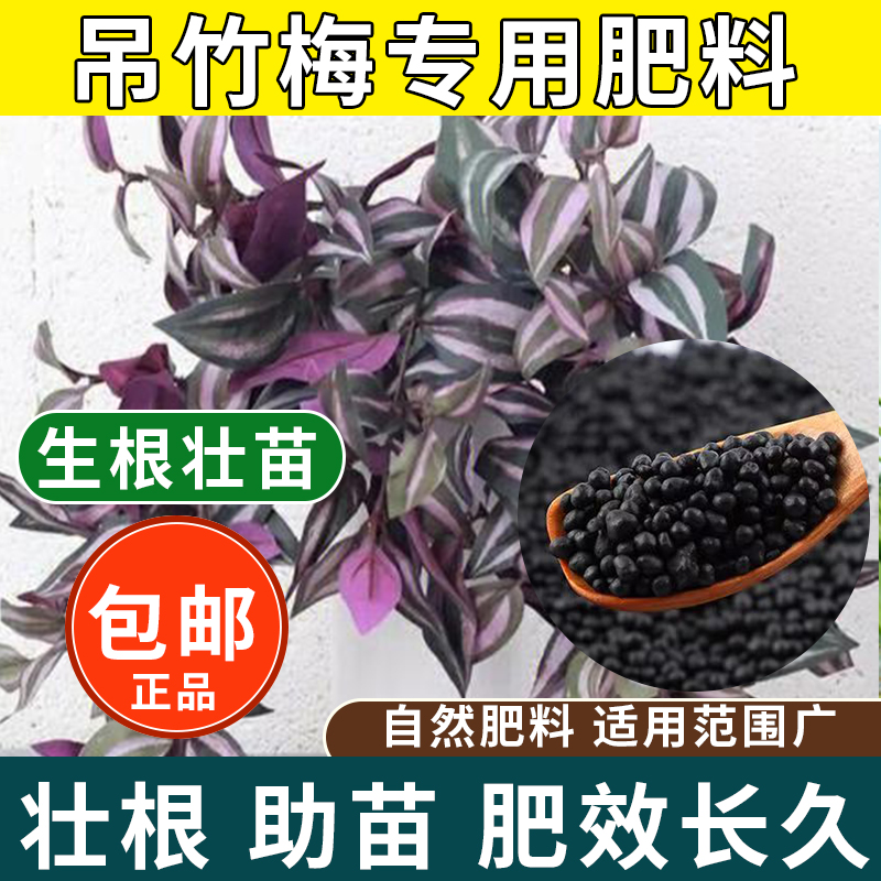 吊竹梅专用肥阳台水竹草金瓢羹白带专用型肥料有机复合颗粒缓释肥