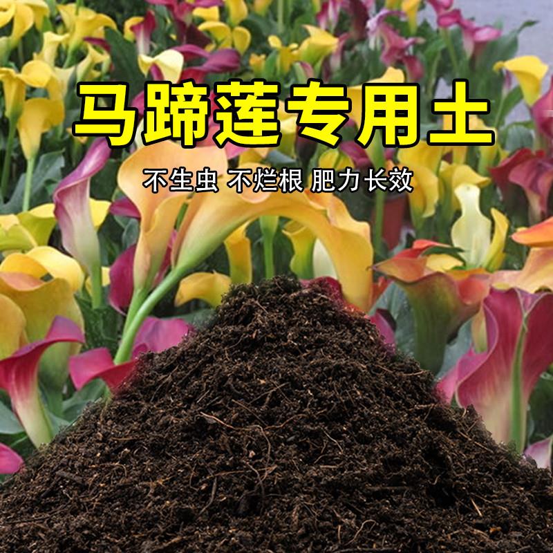 马蹄莲专用土室内阳台盆栽土酸性种植花土家庭通用有机营养土包邮