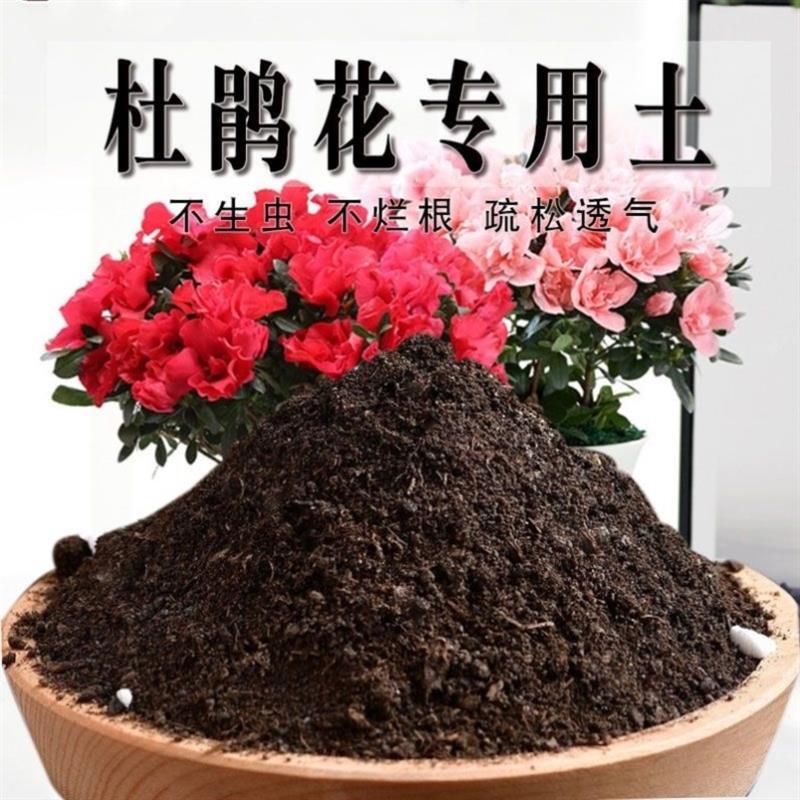 杜鹃花专用土杜鹃花专用营养土养花通用型家用种植土绿植酸性土壤-封面