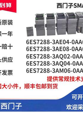 6ES7288-3AE/AQ/AM/AR/EM/AT/02/03/04/06/08-0AA0/6EC01西门子