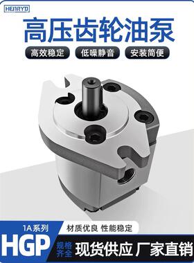HGP-1A-F6R高压齿轮泵液压齿轮泵HGP-1A-F4R/F2R/F8R/F1R/F5R/F3R