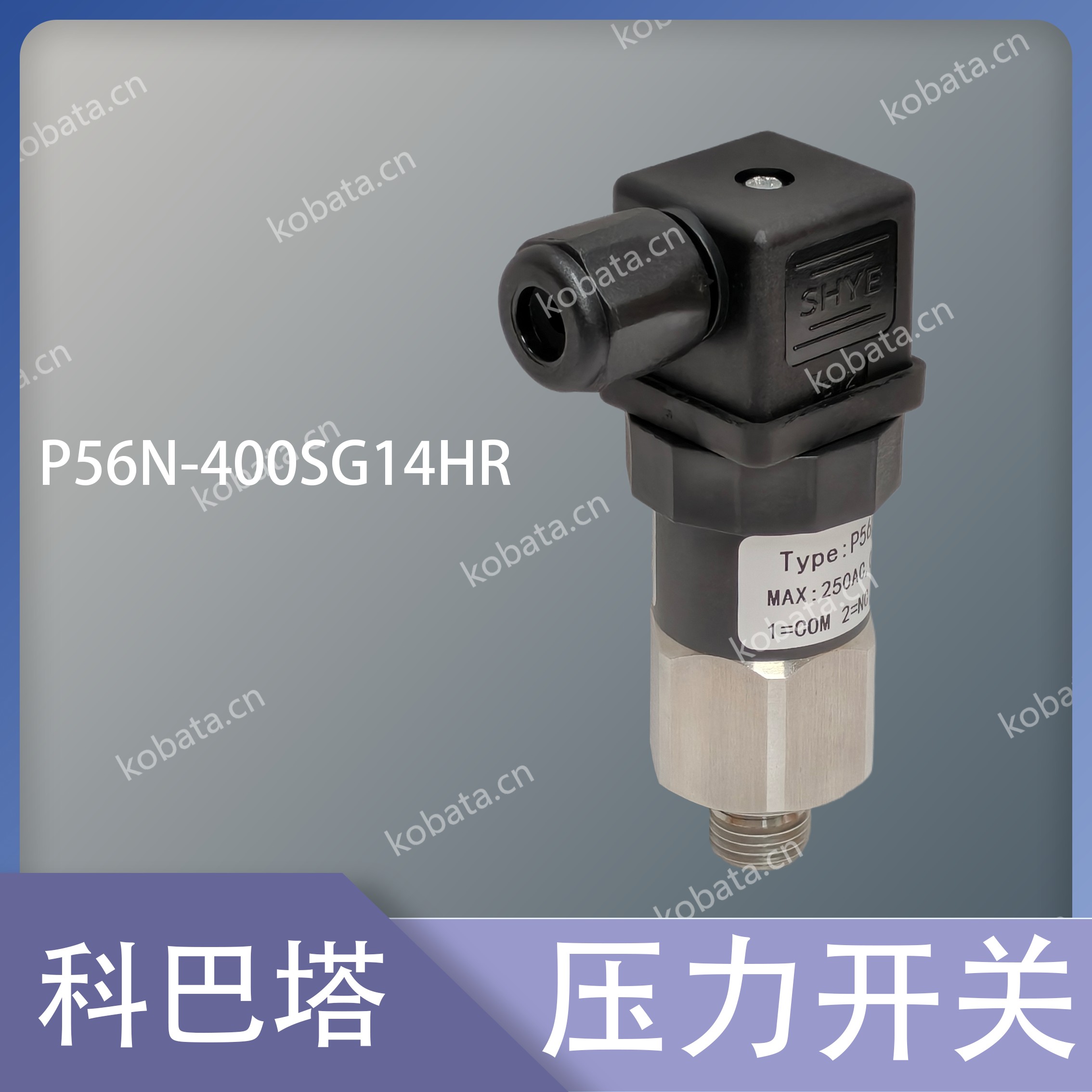 压力控制器P56-050SG14HR ES2-601