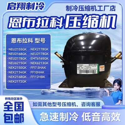 恩布拉科压缩机NEU2178GK FF17.5HAK NEK2150GK NEU2178GK 全新