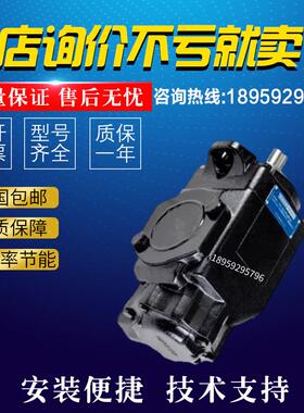 丹尼逊液压泵T6C-010-2R00定量油泵T6D/E/CC/DC/EC/ED双联叶片泵