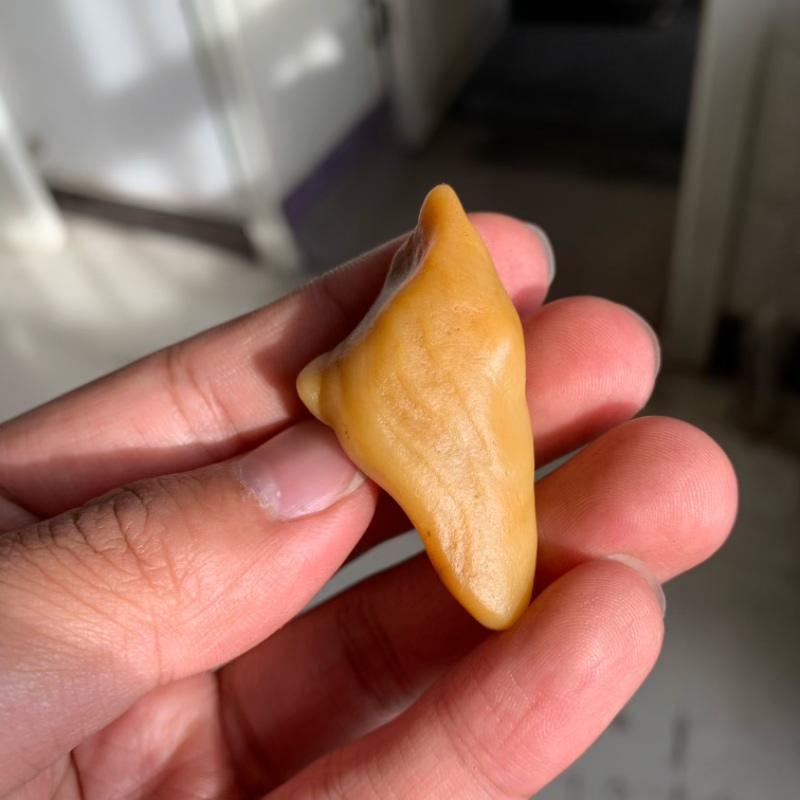 天然鸡油黄秋梨皮沙漠漆原石把玩件重18.8克雕刻出精品戈壁奇石料