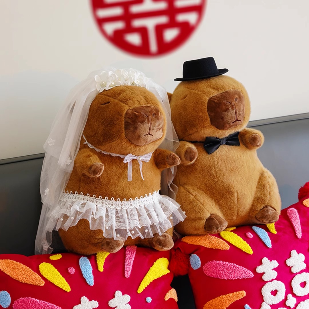 婚房可爱压床娃娃一对婚庆公仔结婚新房装饰情侣玩偶抱枕