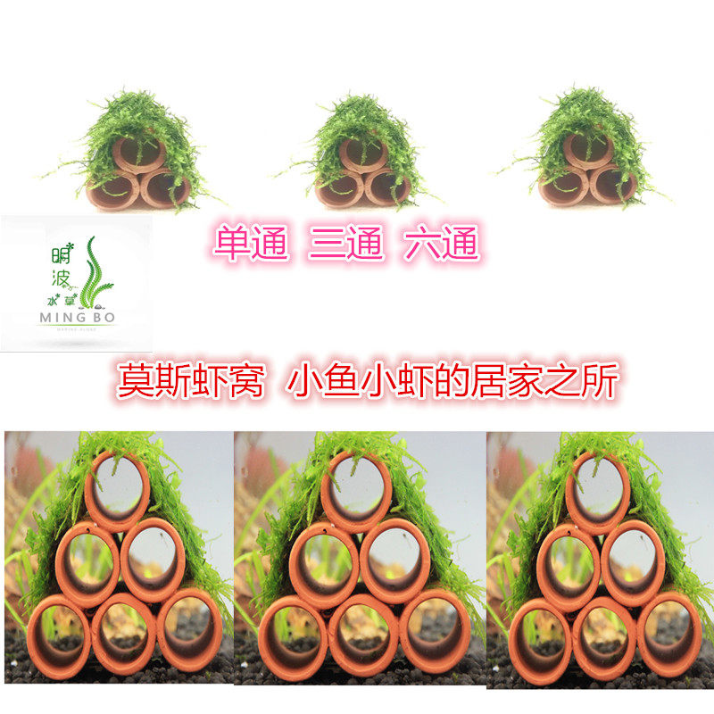 鱼缸淡水造景莫斯虾窝虾屋躲避屋小鱼虾屋躲避洞陶瓷罐繁殖屋,宠物/宠物食品及用品,水草,淘宝优惠券,粉丝福利购,淘宝优惠卷