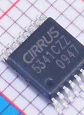 CS5341-CZZ 5341CZZ  CS5341  TSSOP