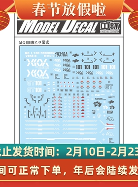 中环水贴19318A MG1/100FreedomGundam自由高达2.0模型水贴纸荧光