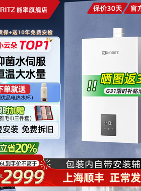 能率燃气热水器13/16升小云朵S家用恒温静音抑菌水伺服EP2A天然气