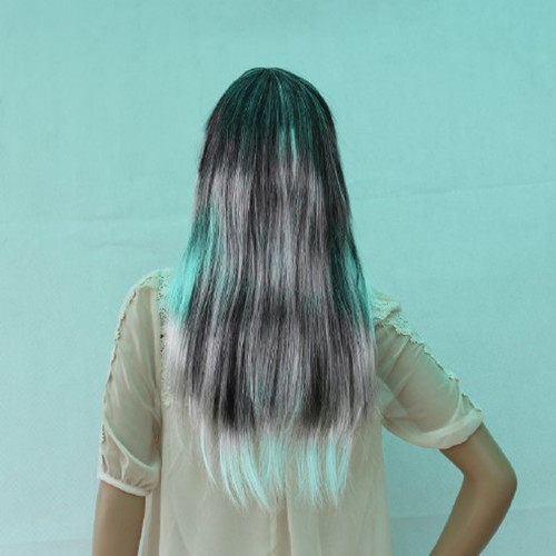 Perruque Long cheveux raides - Ref 2612321 Image 4