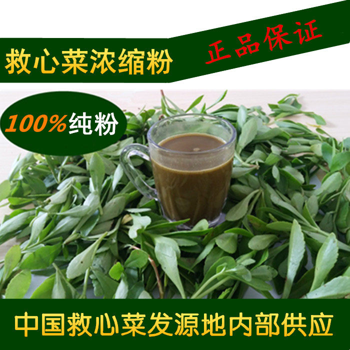 平卧菊三七茶粉 养心菜原粉 救心菜原粉 景天三七粉 保健茶粉