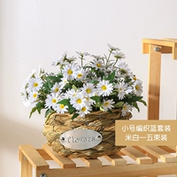 Маленький баскетбол+5 луча белых цветов