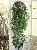 Моделирование розовая виноградная лоза висящая настенная настенная настенная настенная настенная настенная настенная настенная