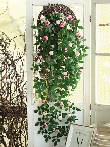 Моделирование розовая виноградная лоза висящая настенная настенная настенная настенная настенная настенная настенная настенная