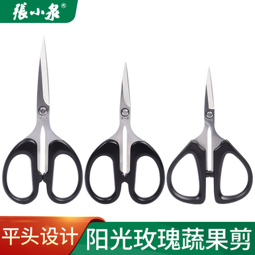 张小泉直头葡萄蔬果剪刀 SS 125 杭州兰花分苗阳光玫瑰蔬果嫩翘头