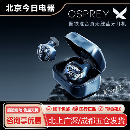 NobleOsprey真无线蓝牙耳机