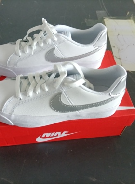Nike Court Royale AC 女款白银时尚舒适百搭低帮板鞋 AO2810-114